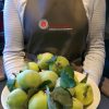 Foodcentric Apron - holding quinces